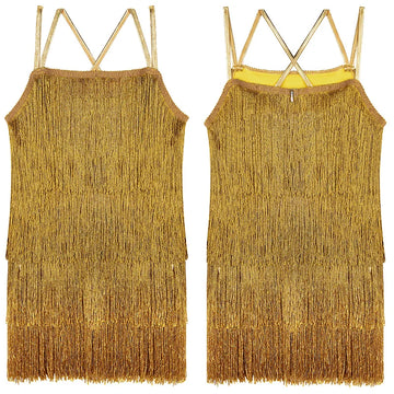Girls Sleeveless Camisole Latin Tassel Dance Dress Sequin Fringe Skirt Sparkly Dancewear