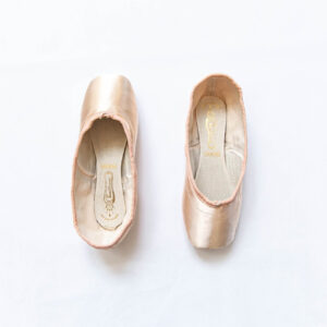 FREED OF LONDON Pointe Shoes Maker ‘B’ Brand New DV Wing Block 2.5 Size 6X